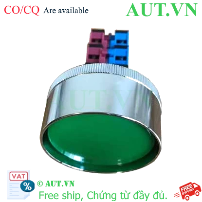 Ảnh của Nút ấn nhả ABN4F22G IDEC, D30, 2NO+2NC, màu xanh