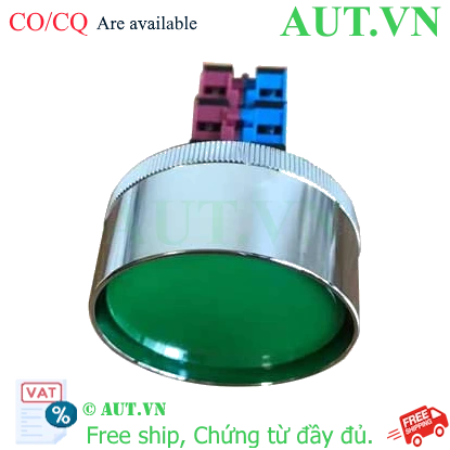Ảnh của Nút ấn nhả ABN4F22G IDEC, D30, 2NO+2NC, màu xanh