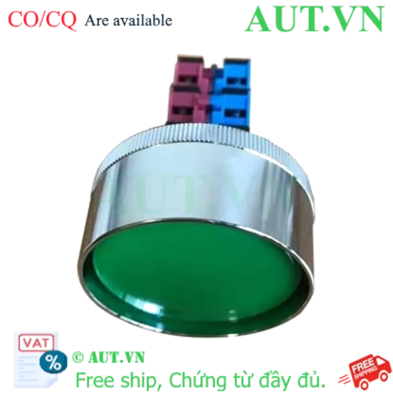 Ảnh của Nút ấn nhả ABN4F22G IDEC, D30, 2NO+2NC, màu xanh