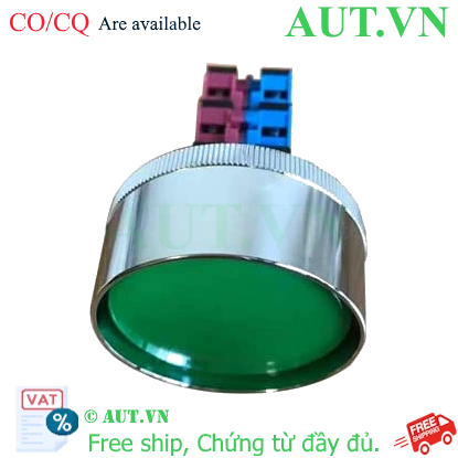 Ảnh của Nút ấn nhả ABN4F22G IDEC, D30, 2NO+2NC, màu xanh