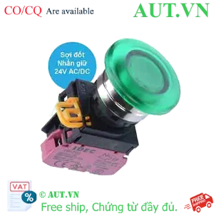 Ảnh của Nút nhấn giữ có đèn IDEC YW4L-A4E01Q7G 24VAC/DC D22 1NC (Xanh)