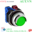 Ảnh của Nút nhấn giữ không đèn IDEC AOGD222NG D30 2NO+2NC (Xanh)