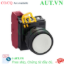 Ảnh của Nút nhấn giữ không đèn IDEC YW1B-A1E01W D22 1NC (Trắng)