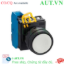 Ảnh của Nút nhấn giữ không đèn IDEC YW1B-A1E10W D22 1NO (Trắng)