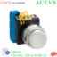 Ảnh của Nút nhấn giữ không đèn IDEC YW1B-A2E10W D22 1NO (Trắng)