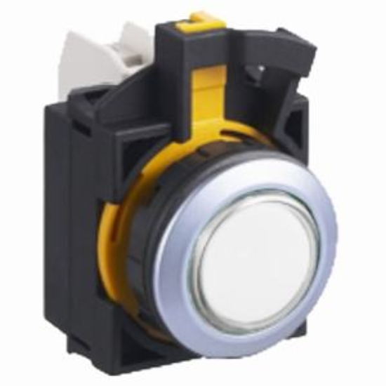 Ảnh của Đèn báo D22 IDEC CW4P-2EQM4PW 