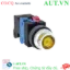 Ảnh của Nút nhấn nhả có đèn IDEC ALFS21611DNG 110VAC D25 1NO+1NC (Xanh)