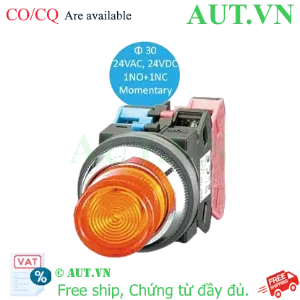 Ảnh của Nút nhấn nhả có đèn IDEC ALN22211DNA 24VAC/DC D30 1NO+1NC (Hổ phách)