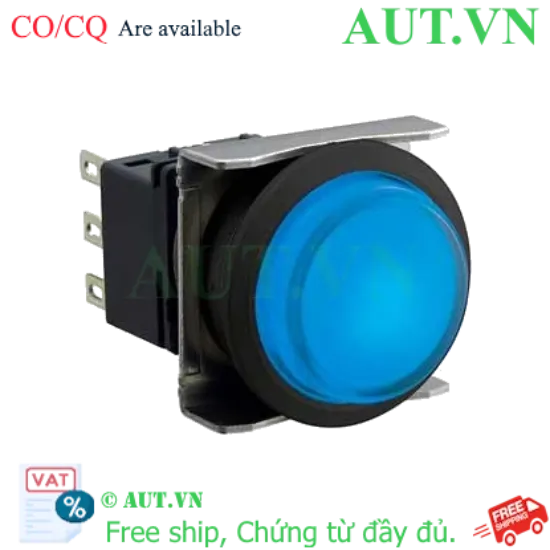 Ảnh của Nút nhấn nhả có đèn IDEC LBW6L-M2T53S 12VAC/DC D22 1NO+1NC (Xanh)