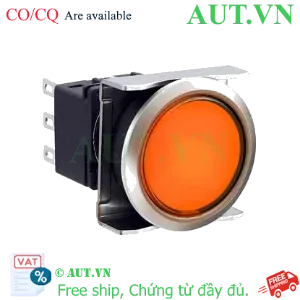 Ảnh của Nút nhấn nhả có đèn IDEC LBW6ML-M1T13A 12VAC/DC D22 1NO+1NC (Hổ phách)