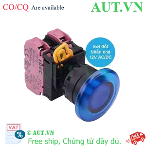 Ảnh của Nút nhấn nhả có đèn IDEC YW1L-M4E02Q6S 12VAC/DC D22 2NC (Xanh)