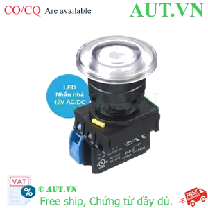 Ảnh của Nút nhấn nhả có đèn IDEC YW1L-M4E10Q3PW 12VAC/DC D22 1NO (Trắng)