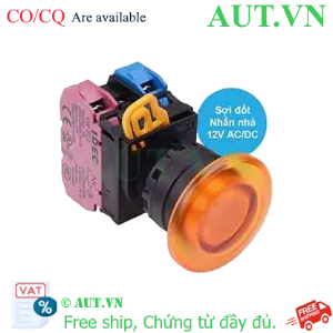 Ảnh của Nút nhấn nhả có đèn IDEC YW1L-M4E11Q6A 12VAC/DC D22 1NO+1NC (Hổ phách)