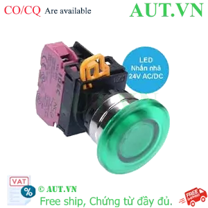 Ảnh của Nút nhấn nhả có đèn IDEC YW4L-M4E01Q4G 24VAC/DC D22 1NC (Xanh)