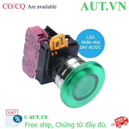 Ảnh của Nút nhấn nhả có đèn IDEC YW4L-M4E01Q4G 24VAC/DC D22 1NC (Xanh)