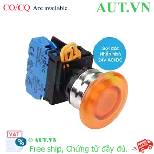 Ảnh của Nút nhấn nhả có đèn IDEC YW4L-M4E10Q7A 24VAC/DC D22 1NO (Hổ phách)