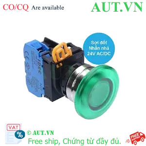 Ảnh của Nút nhấn nhả có đèn IDEC YW4L-M4E10Q7G 24VAC/DC D22 1NO (Xanh)