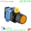 Ảnh của Nút nhấn nhả IDEC HW1L-M1F20QD-A-6V D22 2NO (Hổ phách)