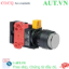 Ảnh của Nút nhấn nhả IDEC HW1L-M2F01QD-W-24V D22 1NC (Trắng)