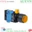 Ảnh của Nút nhấn nhả IDEC HW1L-M2F10QD-A-12V D22 1NO (Hổ phách)