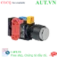 Ảnh của Nút nhấn nhả IDEC HW1L-M2F11QD-W-24V D22 1NO+1NC (Trắng)