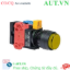 Ảnh của Nút nhấn nhả IDEC HW1L-M2F11QD-Y-12V D22 1NO+1NC (Vàng)