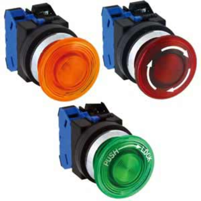 Ảnh của Nút ấn IDEC AOLGN22220DNY-MAU .