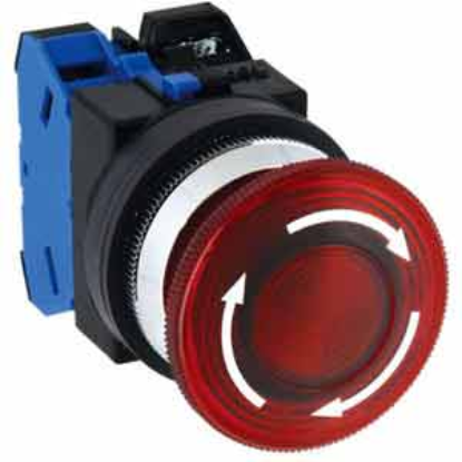 Ảnh của Nút ấn IDEC AVLN31602DNR .