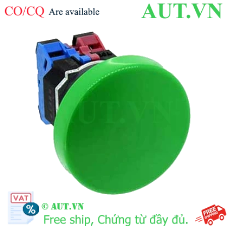 Ảnh của Nút nhấn nhả không đèn IDEC ABD422NG D30 2NO+2NC (Xanh)