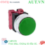 Ảnh của Nút nhấn nhả không đèn IDEC ABGS302NG D25 2NC (Xanh)