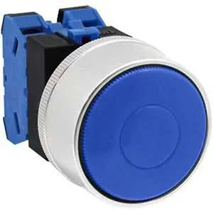 Ảnh của Nút nhấn nhả không đèn IDEC ABGW420S-MAU D22 2NO (Xanh)
