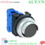 Ảnh của Nút nhấn nhả không đèn IDEC ABN2G10B D30 1NO (Đen)