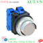 Ảnh của Nút nhấn nhả không đèn IDEC ABN2G20W D30 2NO (Trắng)