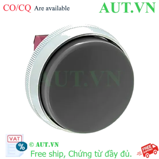 Ảnh của Nút nhấn nhả không đèn IDEC ABN4G02B D30 2NC (Đen)