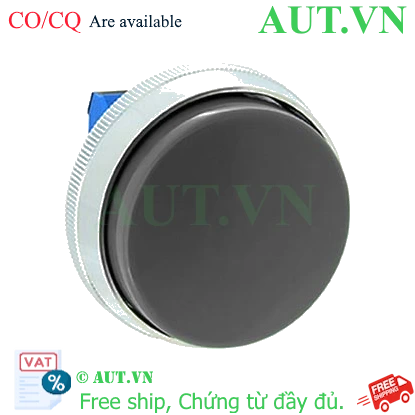 Ảnh của Nút nhấn nhả không đèn IDEC ABN4G10B D30 1NO (Đen)