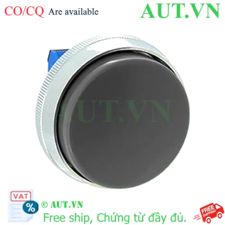 Ảnh của Nút nhấn nhả không đèn IDEC ABN4G10B D30 1NO (Đen)