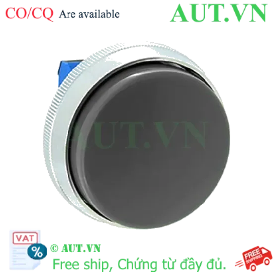 Ảnh của Nút nhấn nhả không đèn IDEC ABN4G10B D30 1NO (Đen)