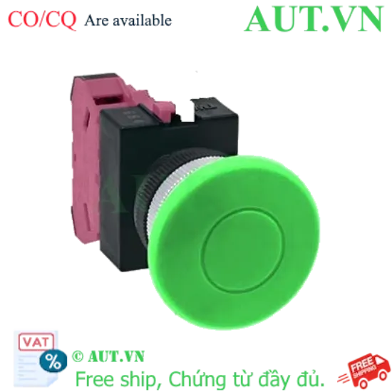 Ảnh của Nút nhấn nhả không đèn IDEC ABW401G-MAU D22 1NC (Xanh)