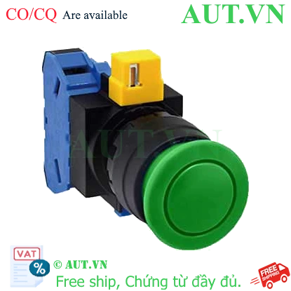 Ảnh của Nút nhấn nhả không đèn IDEC HW1B-M310G-MAU D22 1NO (Xanh)