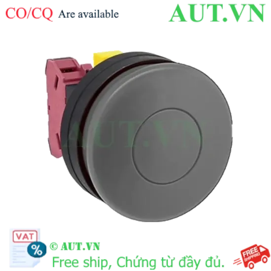 Ảnh của Nút nhấn nhả không đèn IDEC HW1B-M501B-MAU D22 1NC (Đen)
