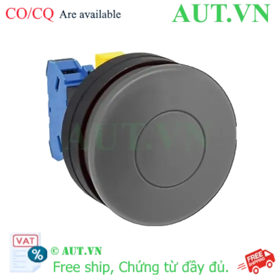 Ảnh của Nút nhấn nhả không đèn IDEC HW1B-M510B-MAU D22 1NO (Đen)
