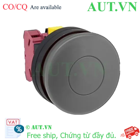 Ảnh của Nút nhấn nhả không đèn IDEC HW1B-M520B-MAU D22 2NO (Đen)