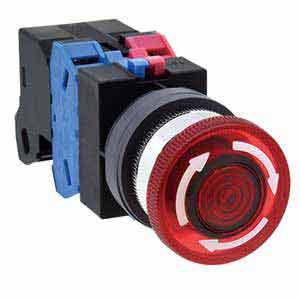 Ảnh của Nút ấn IDEC AVLS31622DNR .