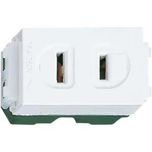 Ảnh của Hạt Ổ Cắm 2 Chân Dẹt Panasonic WEG1001SW (Nhựa Resin Cao Cấp) - AUT VN