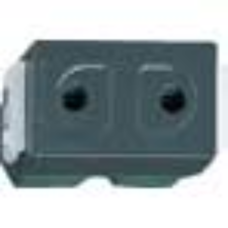 Ảnh của Hạt Ổ Cắm Nhựa Resin Panasonic WEG1090H - 2 Chân Tròn, 16A, Màu Đen
