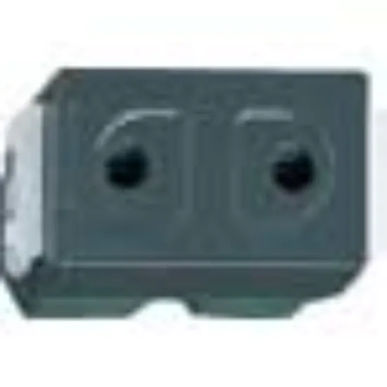 Ảnh của Hạt Ổ Cắm Nhựa Resin Panasonic WEG1090H - 2 Chân Tròn, 16A, Màu Đen