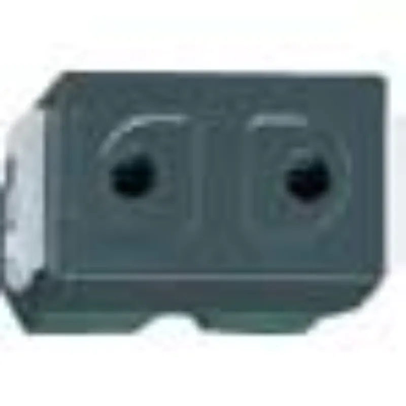 Ảnh của Hạt Ổ Cắm Nhựa Resin Panasonic WEG1090H - 2 Chân Tròn, 16A, Màu Đen