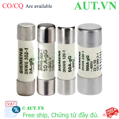 Ảnh của Cầu chì sứ hình trụ SIEMENS 3NW6217-1 