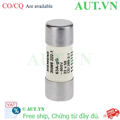 Ảnh của 3NW6222-1 cầu chì ống SIEMENS, 63A, 500VAC, 22x58 mm