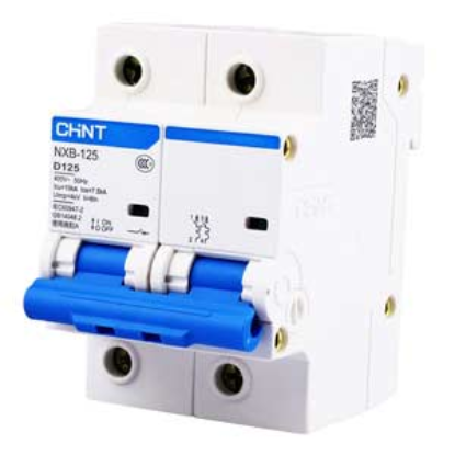 Ảnh của Áp tô mát cài loại nhỏ CHINT NXB-125 2P D125 